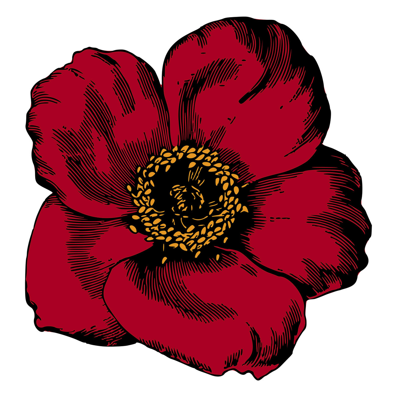 Red poppy png flower sticker